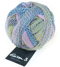 Load image into Gallery viewer, Schoppel-Woole EDITION 3