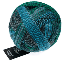 Load image into Gallery viewer, Schoppel-Wolle ZAUBERBALL 6-ply