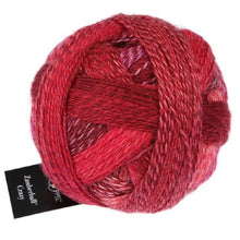 Load image into Gallery viewer, Schoppel-Woole CRAZY ZAUBERBALL 4ply Sock Yarn