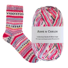 Load image into Gallery viewer, Arne &amp; Carlos Socks &amp; More 4 Ply