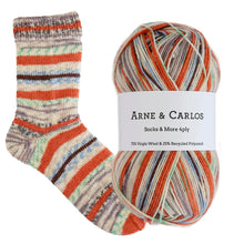 Load image into Gallery viewer, Arne &amp; Carlos Socks &amp; More 4 Ply