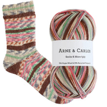 Load image into Gallery viewer, Arne &amp; Carlos Socks &amp; More 4 Ply