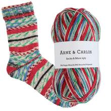 Load image into Gallery viewer, Arne &amp; Carlos Socks &amp; More 4 Ply