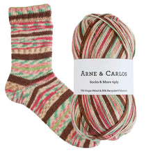 Load image into Gallery viewer, Arne &amp; Carlos Socks &amp; More 4 Ply