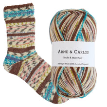 Load image into Gallery viewer, Arne &amp; Carlos Socks &amp; More 4 Ply