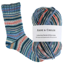 Load image into Gallery viewer, Arne &amp; Carlos Socks &amp; More 4 Ply