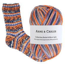 Load image into Gallery viewer, Arne &amp; Carlos Socks &amp; More 4 Ply