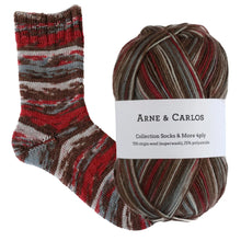 Load image into Gallery viewer, Arne &amp; Carlos Socks &amp; More 4 Ply