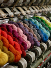 Load image into Gallery viewer, EXMOOR SOCK (50g) by John Arbon Textiles