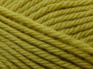 NEW Filcolana Peruvian Highland Wool - Sprout 379