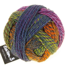 Load image into Gallery viewer, Schoppel-Woole EDITION 3